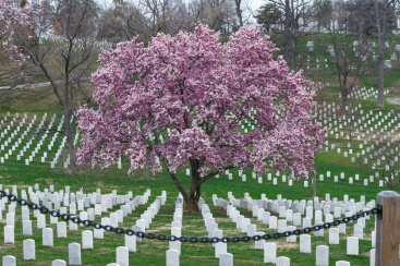 Washington - Cemitério de Arlington